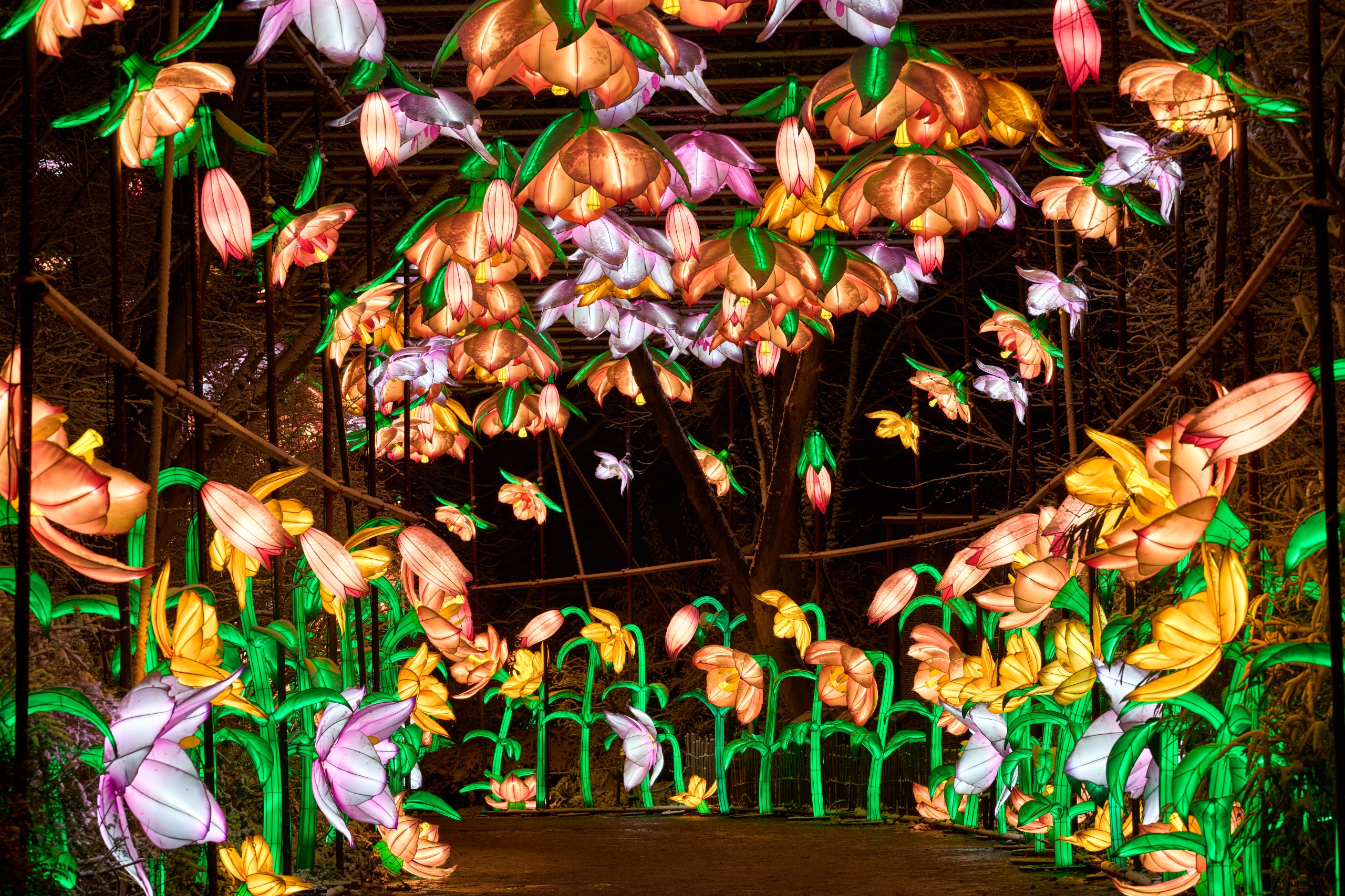 2026 01 05 China Lights 0227